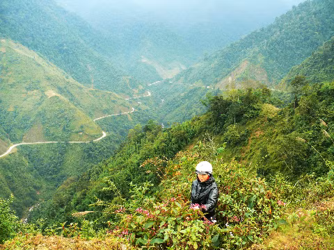 Hoa trên đèo Khau Phạ (Yên Bái).