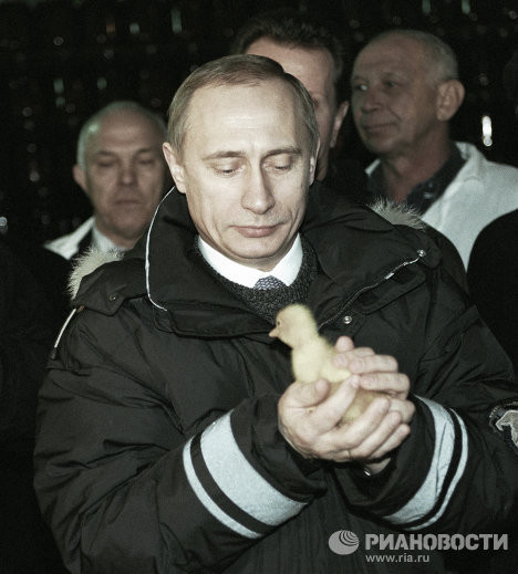 Tháng 2/2000, Tổng thống lâm thời Nga Vladimir Putin thăm trang trại Kolos. Tháng 2/2000, Tổng thống lâm thời Nga Vladimir Putin thăm trang trại Kolos.