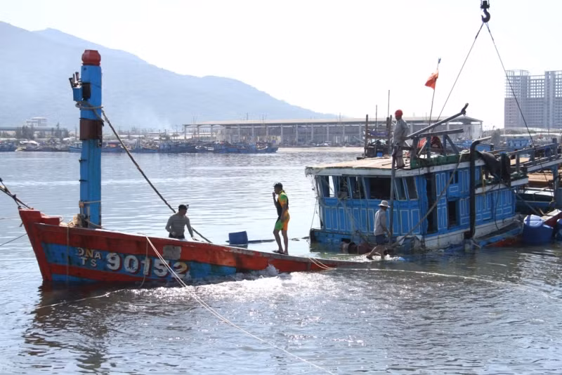 Nhiều công nhân cho biết, họ làm nghề sửa chữa tàu từ lâu, nhưng chưa bao giờ họ lại thấy cảnh thảm thương của con tàu như lúc này. Con tàu càng nhô lên, họ lại càng uất hận sự tàn ác, hung dữ của tàu Trung Quốc. Nhiều công nhân cho biết, họ làm nghề sửa chữa tàu từ lâu, nhưng chưa bao giờ họ lại thấy cảnh thảm thương của con tàu như lúc này. Con tàu càng nhô lên, họ lại càng uất hận sự tàn ác, hung dữ của tàu Trung Quốc.