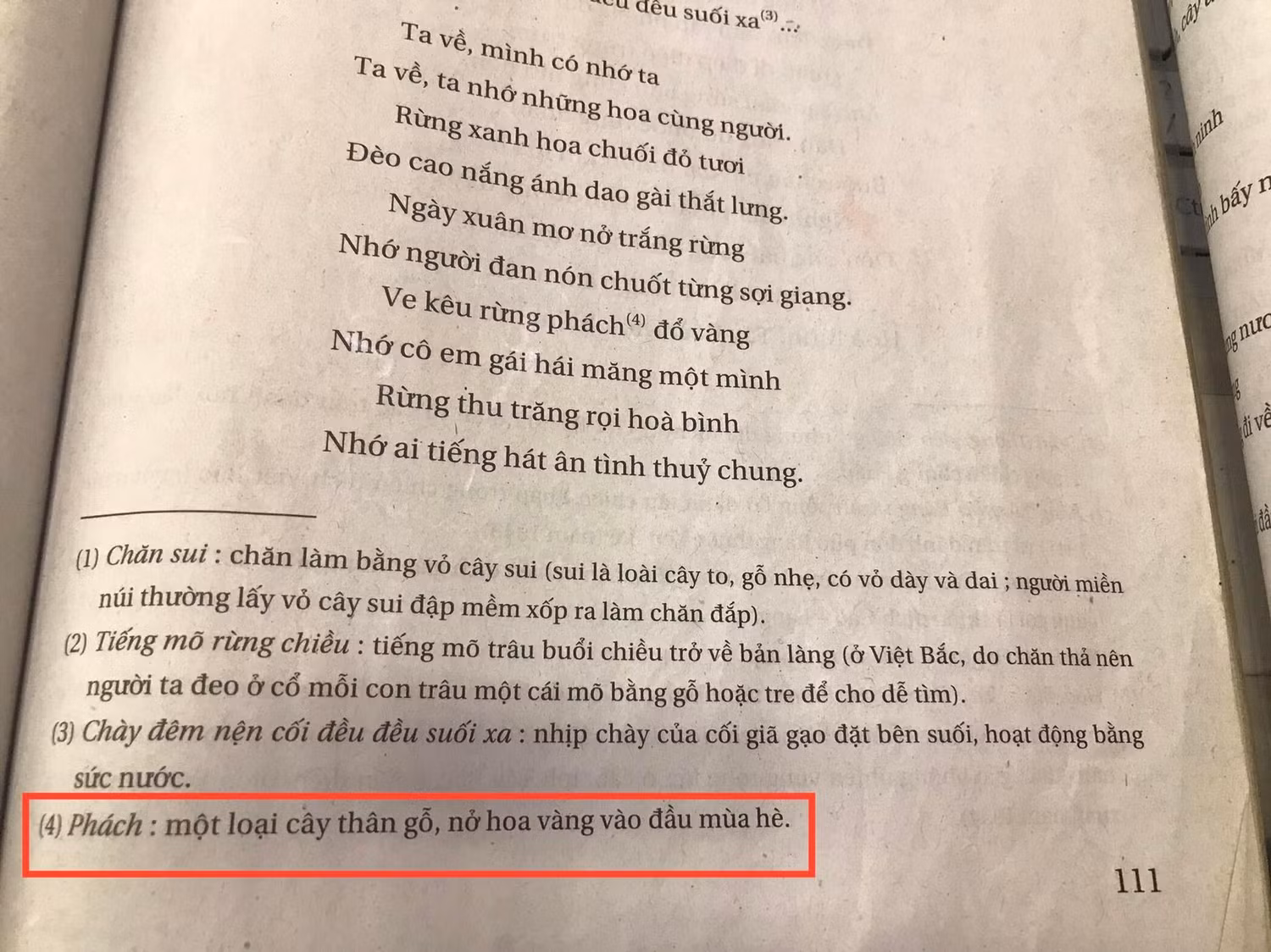 Chú thích rừng phách trong sách giáo khoa. (Ảnh: Cao Nguyên)
