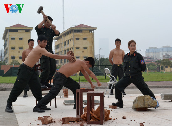 Yết hầu tì cong thanh sắt, trên lưng là chồng gạch