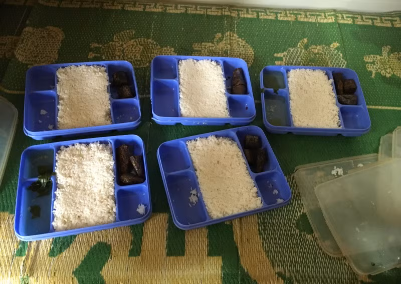 Suất cơm bán trú của học sinh Trường trung học cơ sở Suối Bau (Phù Yên, Sơn La) chủ yếu là cơm. Ảnh Mạnh Cường