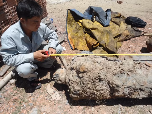 Do bị vùi lấp dưới nước lâu nên hai khẩu súng bị rêu bám đầy, hoen rỉ ở mặt bề ngoài.