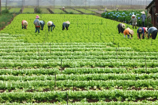 (Ảnh minh họa: Tạp chí Tài chính) (Ảnh minh họa: Tạp chí Tài chính)