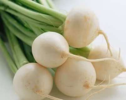 Củ cải: Dầu cải và glycosid trong củ cải có thể phát huy tác dụng đối với nhiều loại chất xúc tác, hình thành nên thành phần chống ung thư có vị cay cay. Thành phần có vị cay này có thể ngăn ngừa ung thư vì nó ức chế phân chia tế bào không bình thường. Vì vậy, củ cải càng cay, thành phần này càng nhiều, khả năng chống ung thư cũng càng tốt. Củ cải: Dầu cải và glycosid trong củ cải có thể phát huy tác dụng đối với nhiều loại chất xúc tác, hình thành nên thành phần chống ung thư có vị cay cay. Thành phần có vị cay này có thể ngăn ngừa ung thư vì nó ức chế phân chia tế bào không bình thường. Vì vậy, củ cải càng cay, thành phần này càng nhiều, khả năng chống ung thư cũng càng tốt.