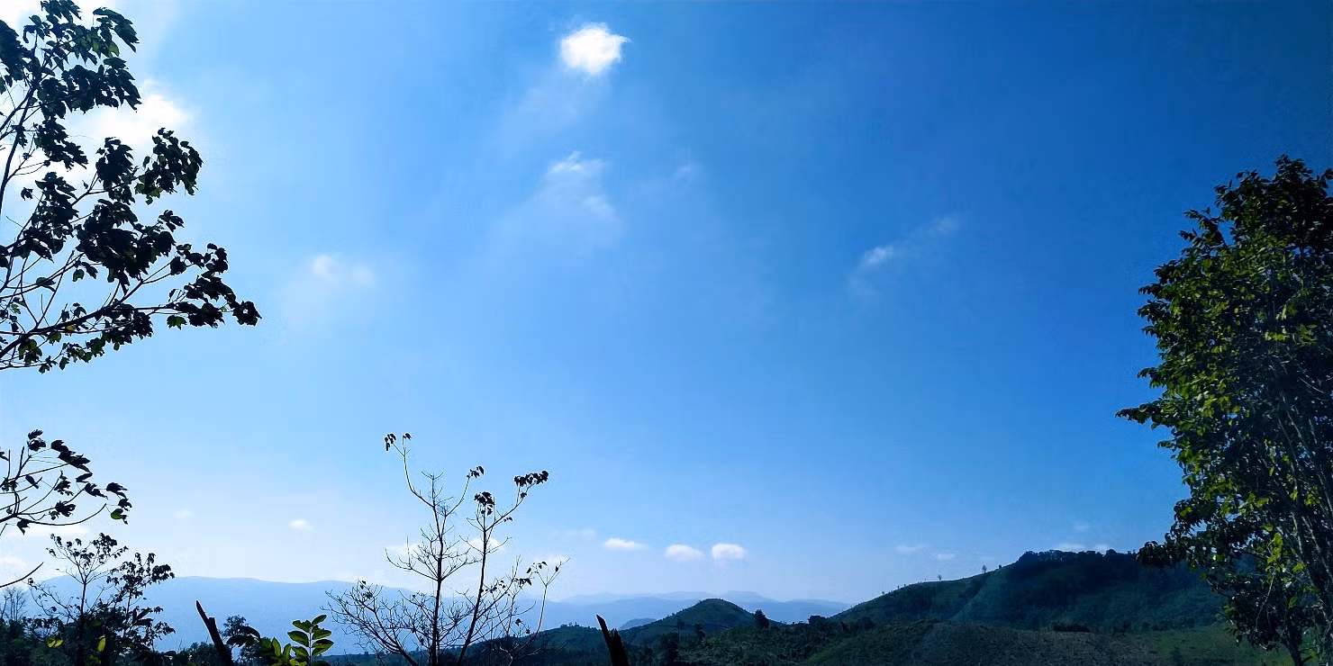 Những ngày tết đến, xuân về, trời Trường Sơn xanh ngắt một màu...