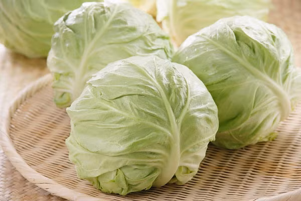 7 lợi ích sức khỏe đáng ngạc nhiên của bắp cải tím mà bạn nên biết ảnh 2 7 lợi ích sức khỏe đáng ngạc nhiên của bắp cải tím mà bạn nên biết ảnh 2