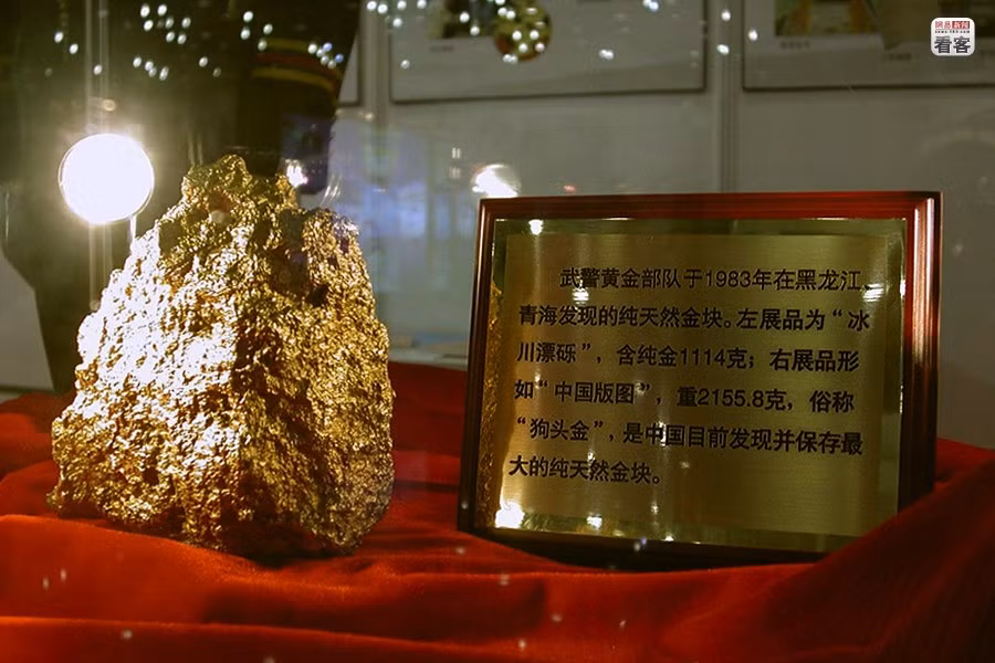 Một cục vàng hình đầu chó được lực lượng đặc biệt của quân đội Trung Quốc tìm thấy năm 1983 tại Hắc Long Giang nặng 2.155,8 g