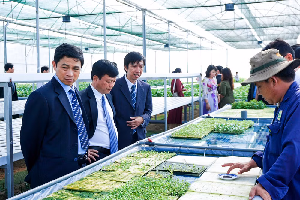 Đoàn lãnh đạo tỉnh Bình Định tới tham quan vườn ươm công nghệ cao của Trường Đại học Tôn Đức Thắng, tìm kiểm các cơ hội hợp tác chuyển giao công nghệ cho địa phương. Ảnh do Phó giáo sư Phạm Thanh Phong cung cấp.