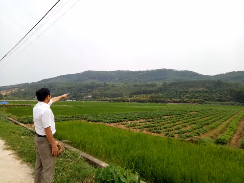 Chủ đầu tư An Phúc Viên nói người dân thiếu hiểu biết và bị tổ chức kích động ảnh 4