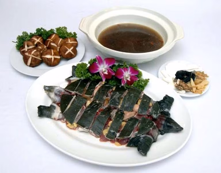Theo một số nghiên cứu khoa học, mặc dù ba ba có tác dụng lợi dương bổ thận, nhưng ba ba có vị tanh, tính hàn, có tác dụng tán u, thông huyết mạch, ví vậy có nguy hại nhất định trong việc sẩy thai, đặc biệt là “sức đẩy thai” của chân ba ba mạnh hơn nhiều so với thịt ba ba.