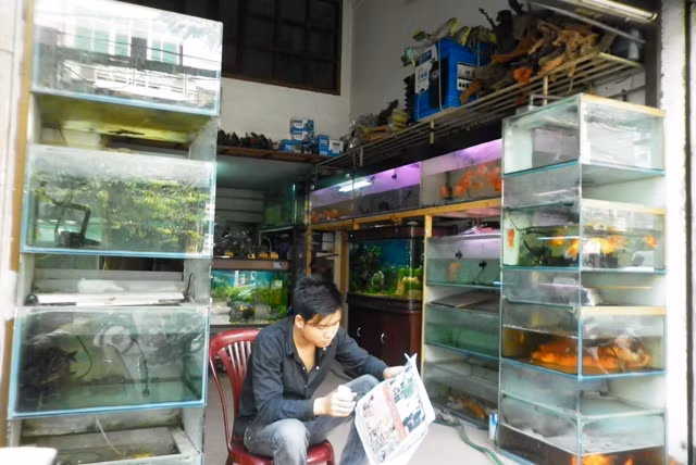 Cho đến những cửa hàng lớn của TP Hà Nội