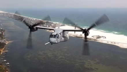Osprey.