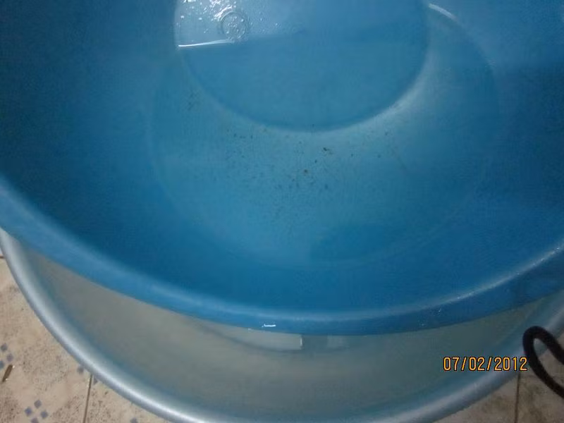 Mất nước đã lâu, nước trong bể đã cạn, múc lên cặn, sạn nên chỉ dùng để rửa tay chân, dội nhà vệ sinh. Nước dùng nấu nướng, rửa mặt vẫn phải mua nước đóng chai.