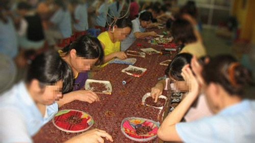 Một dự án tạo việc làm cho gái mại dâm hòa nhập cộng đồng. (ảnh: VOV).