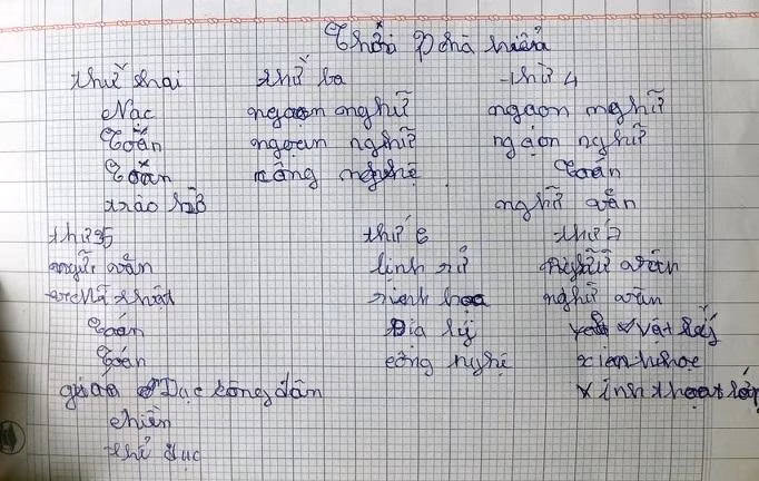 Vở của em N. viết sai khá nhiều. Ảnh: N.TÀI.