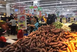 Theo nhiều chuyên gia kinh tế, nông sản Việt Nam có thế mạnh và tiềm năng, chỉ cần người nông dân, doanh nghiệp thay đổi sẽ thu lợi lớn. Ảnh: Vũ Phương.