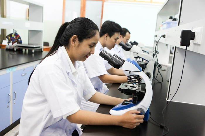 Ảnh minh họa: Linh An Ảnh minh họa: Linh An