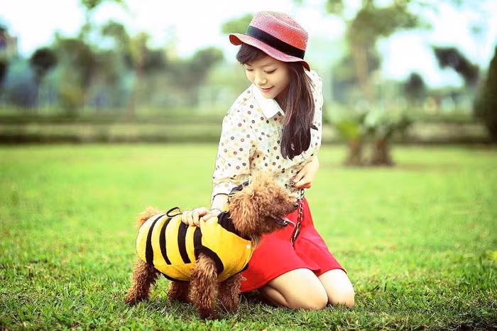 Cùng điểm qua thành tích học tập của cô nàng này nhé!