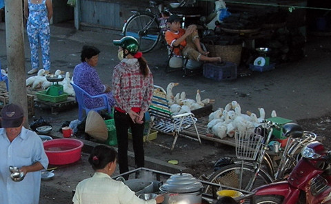 Một điểm bán, giết mổ gia cầm sống cạnh nơi bán thức ăn ở miền Tây. Ảnh: VNE