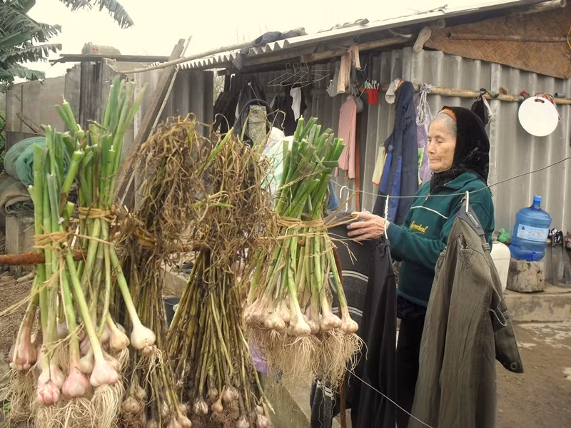 Thương cảnh hai cô con dâu và cháu nội bám trụ nơi đầu sóng ngọn gió, mẹ ông Vươn đã hơn 80 tuổi thi thoảng đến thăm nom, động viên con cháu.