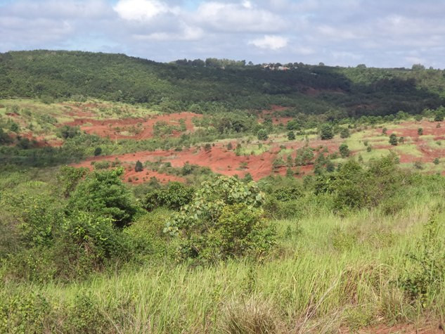 Theo ông Bùi Quang Tiến, Giám đốc BQL dự án bauxite Nhân Cơ rừng tại khu vực này đã mất từ lâu