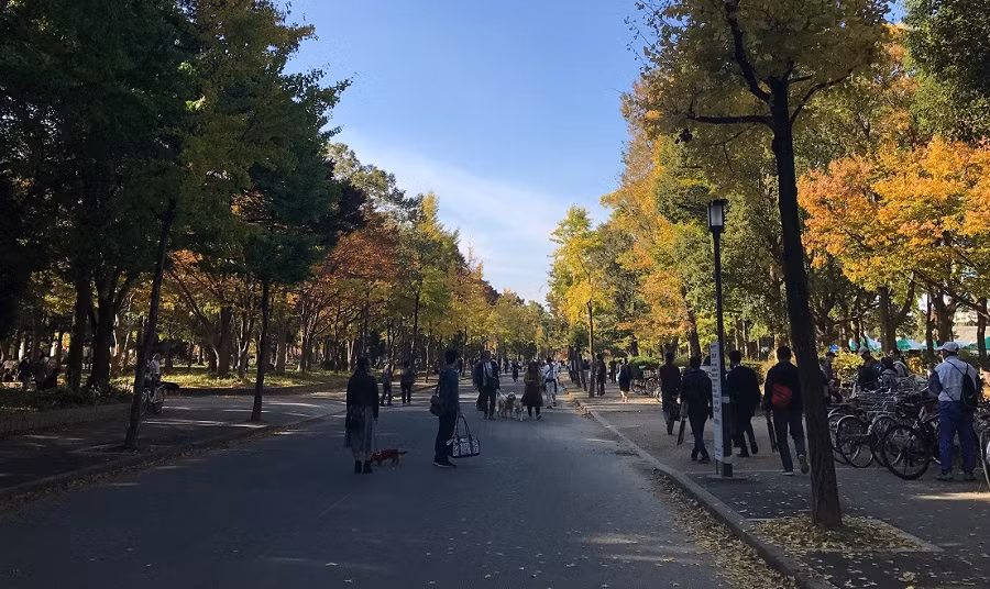 Lâu đài Osaka được bao bọc bởi công viên cùng tên Osaka với diện tích khoảng 60.000 mét vuông. Nơi đây ngập tràn sắc hoa anh đào mỗi độ xuân về và những con đường lá đỏ níu chân du khách khi trời sang Thu. Lâu đài Osaka được bao bọc bởi công viên cùng tên Osaka với diện tích khoảng 60.000 mét vuông. Nơi đây ngập tràn sắc hoa anh đào mỗi độ xuân về và những con đường lá đỏ níu chân du khách khi trời sang Thu.