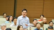 Đại biểu Nguyễn Lâm Thành chỉ rõ có sự lãng phí rất lớn từ quản lý sử dụng đất nông lâm trường. ảnh: quochoi.vn