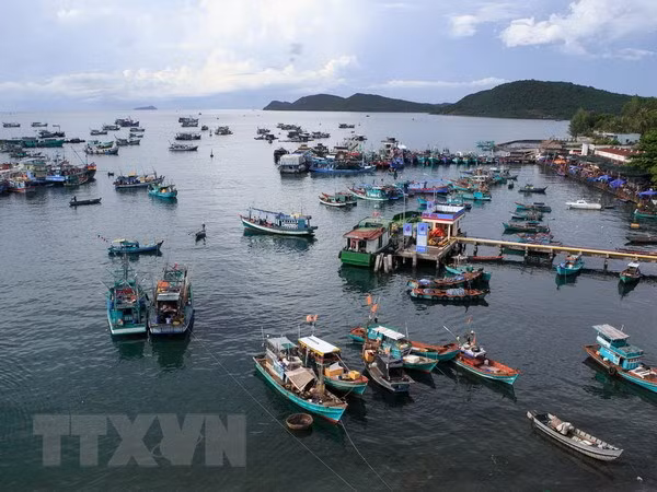 Ảnh minh họa: TTXVN
