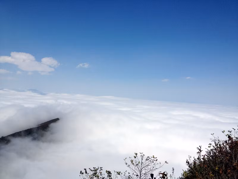 Bồng bềnh.