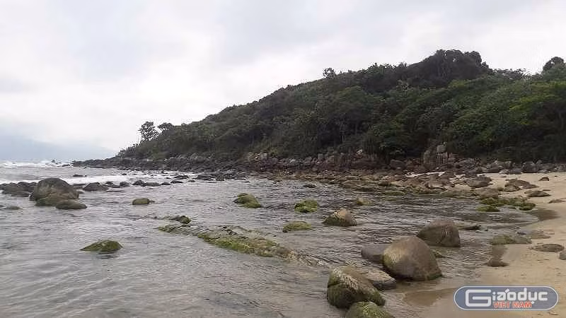 Ghềnh đá Nam Ô sẽ chỉnh trang lại, giữ nguyên rừng cây hiện trạng, tạo lối đi bộ, chỗ dừng chân và nơi cầu nguyện tâm linh cho khách tham quan. Ảnh: TT