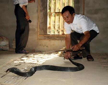 Gia đình bác Hà Văn Chữ, chủ tịch hội cựu chiến của xã Bạch Lưu cũng là một tấm gương điển hình cho nhân dân làm theo trong mô hình kinh tế này. Gia đình bác Hà Văn Chữ, chủ tịch hội cựu chiến của xã Bạch Lưu cũng là một tấm gương điển hình cho nhân dân làm theo trong mô hình kinh tế này.
