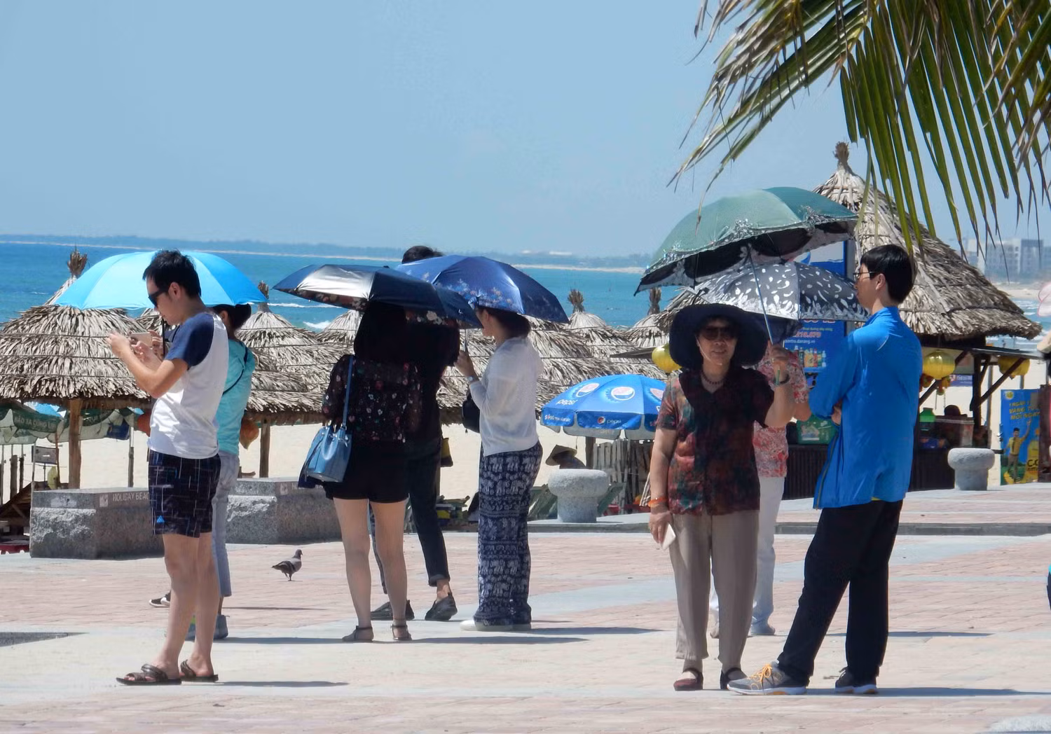 Du khách Trung Quốc tham quan Đà Nẵng. Ảnh: Hoàng Tuấn