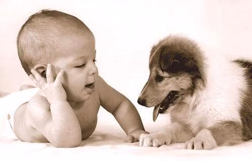 Cậu chủ nhỏ đang "dạy dỗ" vệ sĩ của mình.