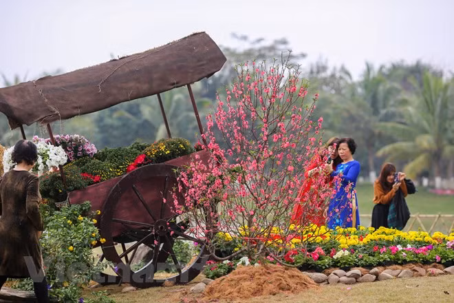 Sáng 18/2, lễ hội Xuân ba miền đã chính thức được khai mạc tại khu đô thị Ecopark. (Ảnh: Minh Sơn/Vietnam+) Sáng 18/2, lễ hội Xuân ba miền đã chính thức được khai mạc tại khu đô thị Ecopark. (Ảnh: Minh Sơn/Vietnam+)