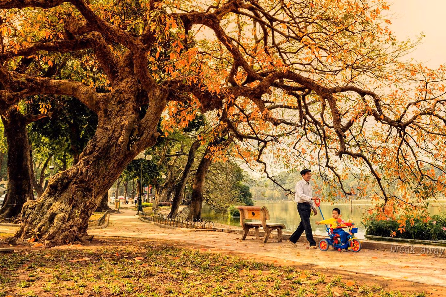 Đã thấy đông về trong gió thu ảnh 3 Đã thấy đông về trong gió thu ảnh 3