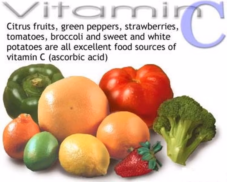 11. Những người thiếu vitamin C tỷ lệ mắc ung thư thực quản, dạ dày lần lượt tăng 2 lần và 3,5 lần. Tỷ lệ mắc bệnh ung thư miệng, ung thư vòm họng, ung thư da, ung thư cổ tử cung, ung thư dạ dày, ung thư ruột kết và ung thư phổi của những người thiếu vitamin E đều tăng.