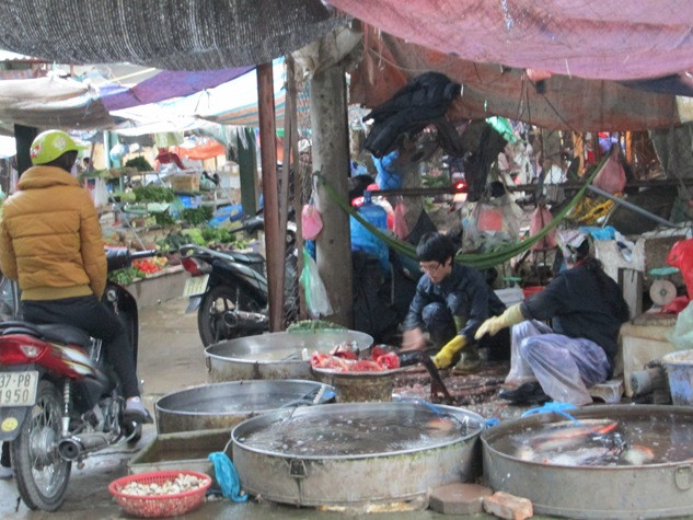 Giá cá tăng hơn những ngày trước từ 5.000 – 8.000 đồng/kg.