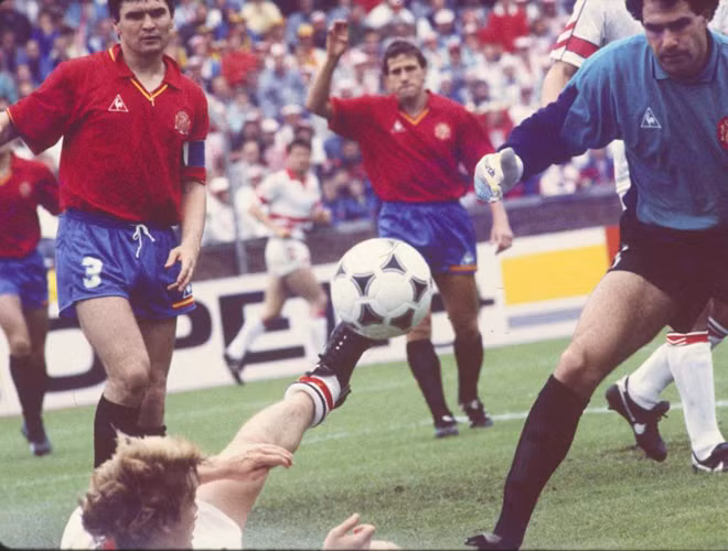 Năm 1988.
