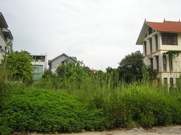 Đất đấu giá ở quận Tây Hồ để hoang nhiều năm