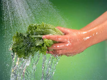 Theo TS Hoàng Kim Thanh, rửa rau đúng cách là rửa trực tiếp dưới vòi nước hoặc rửa trong chậu to nhiều nước sạch 03 lần.