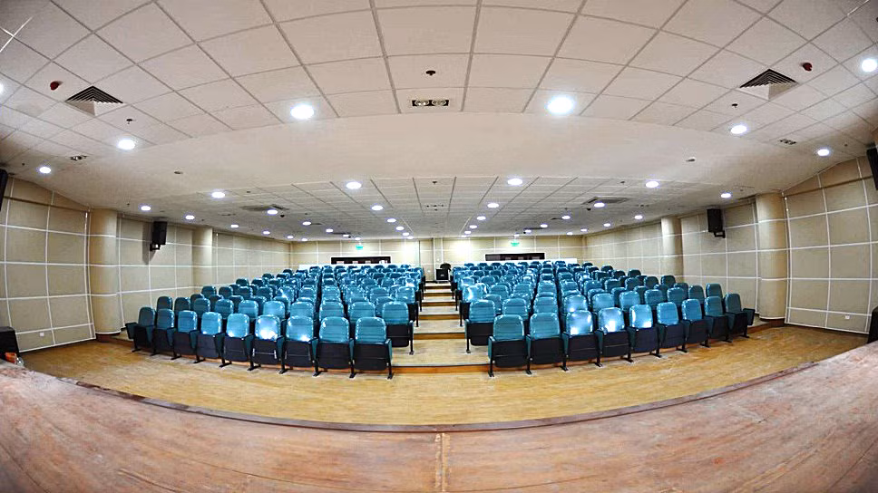Điểm rất đặc biệt của trường là có hẳn một Nhà hát có quy mô khá “hoành tráng” hơn 300m2, với hơn 250 ghế ngồi, trang bị đầy đủ hệ thống âm thanh ánh sáng tiêu chuẩn quốc tế…