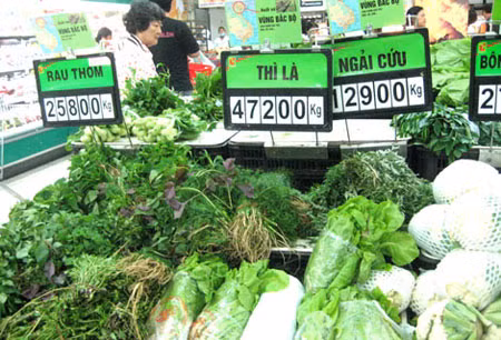 "Bản thân tôi không đồng ý với khái niệm Rau sạch hoặc Rau an toàn, bởi vì, không thể chấp nhận rau bẩn hoặc rau thiếu an toàn", GS Nguyễn Lân Dũng cho biết.