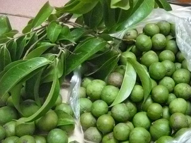 Phụ nữ nôn nghén: Lấy quả sấu nấu canh với cá diếc hay thịt vịt ăn cũng chóng lành Xem thêm:"Diệt trừ" đau dạ dày, đau khớp... với trà xanh mỗi ngày Phụ nữ nôn nghén: Lấy quả sấu nấu canh với cá diếc hay thịt vịt ăn cũng chóng lành Xem thêm:"Diệt trừ" đau dạ dày, đau khớp... với trà xanh mỗi ngày