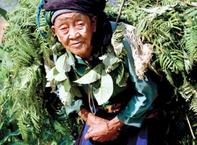 Nặng gánh