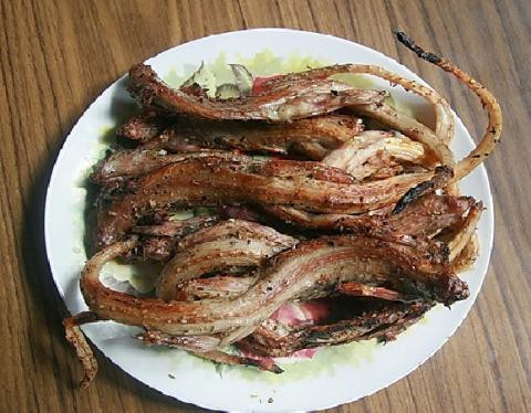 Dông là loài bò sát ở các bãi cát vùng Nam Trung Bộ, những món ăn chế biến từ Dông rất ngon và là đặc sản nổi tiếng ở vùng đất này. Nhưng nếu lần đầu tiên đến đây, được chiêu đãi món Dông nướng nguyên con, nhiều du khách không khỏi e dè.