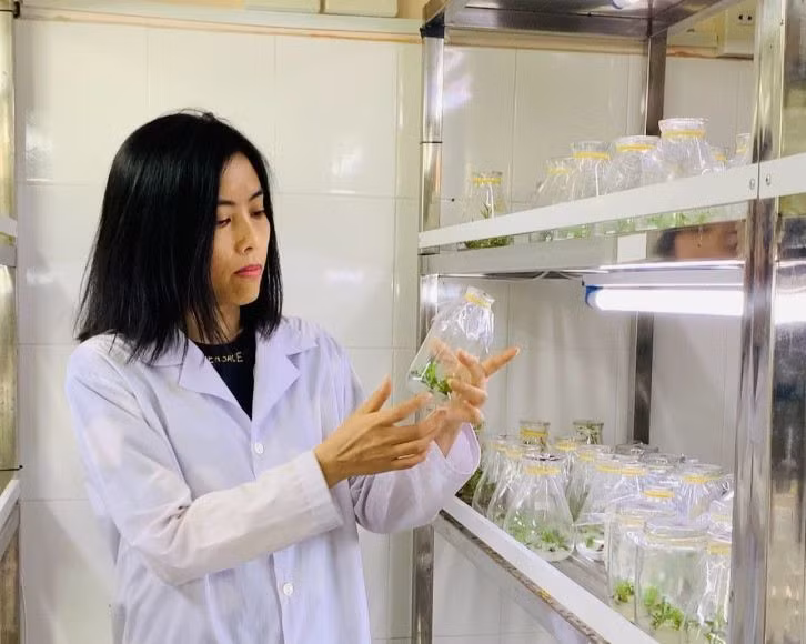 Phó Giáo sư, Tiến sĩ Khoa học Nguyễn Thị Mộng Điệp tham gia hoạt động nghiên cứu khoa học tại trường. Ảnh: NVCC.