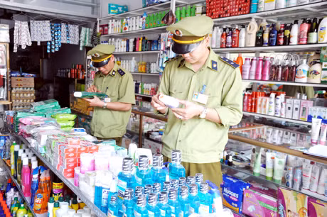 Ảnh minh họa: VGP Ảnh minh họa: VGP