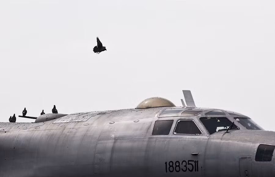 Tu-95 (định danh NATO: Bear) – máy bay ném bom chiến lược của Liên Xô. Oanh tạc cơ này đã đi vào hoạt động từ năm 1956 và trở thành một trong những máy bay ném bom có thời gian phục vụ lâu nhất thế giới.