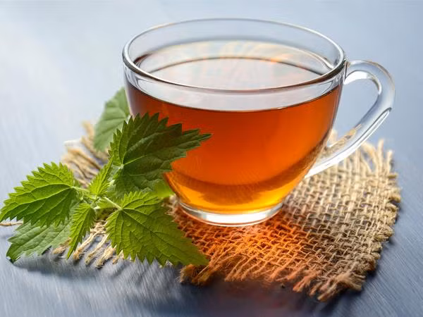 7 loại trà thảo dược tốt cho người tiểu đường
